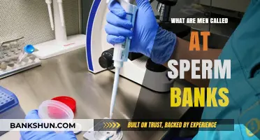 Understanding Male Donors: What Are Men Called at Sperm Banks?