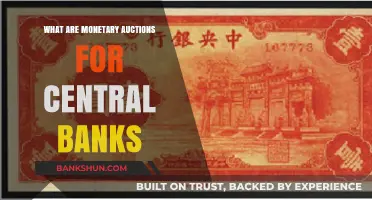 Understanding Central Banks' Monetary Auctions: Mechanisms, Purposes, and Impacts