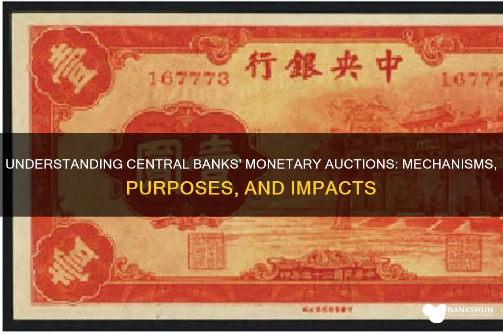 what are monetary auctions for central banks