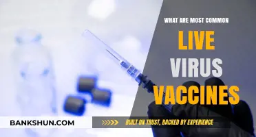 Common Live Virus Vaccines: Understanding Their Uses and Benefits