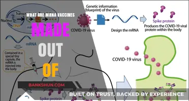 Understanding mRNA Vaccines: Key Components and Their Composition Explained