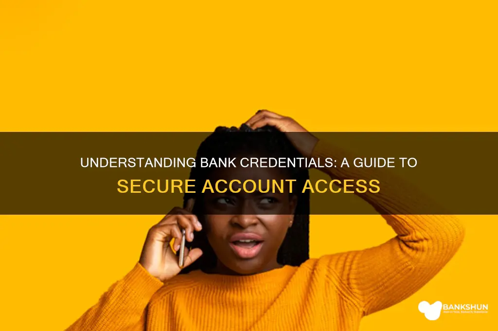 what are my credentials for my bank