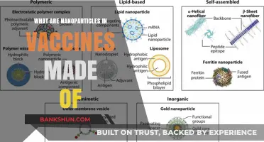 Understanding Nanoparticle Composition in Modern Vaccines: Materials and Benefits