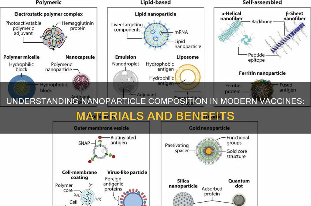 what are nanoparticles in vaccines made of