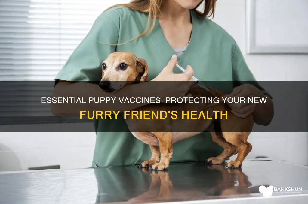 what are necessary vaccines for new puppies