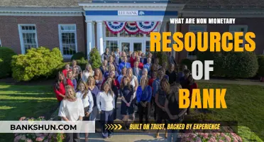 Exploring Non-Monetary Assets: Essential Resources for Bank Operations