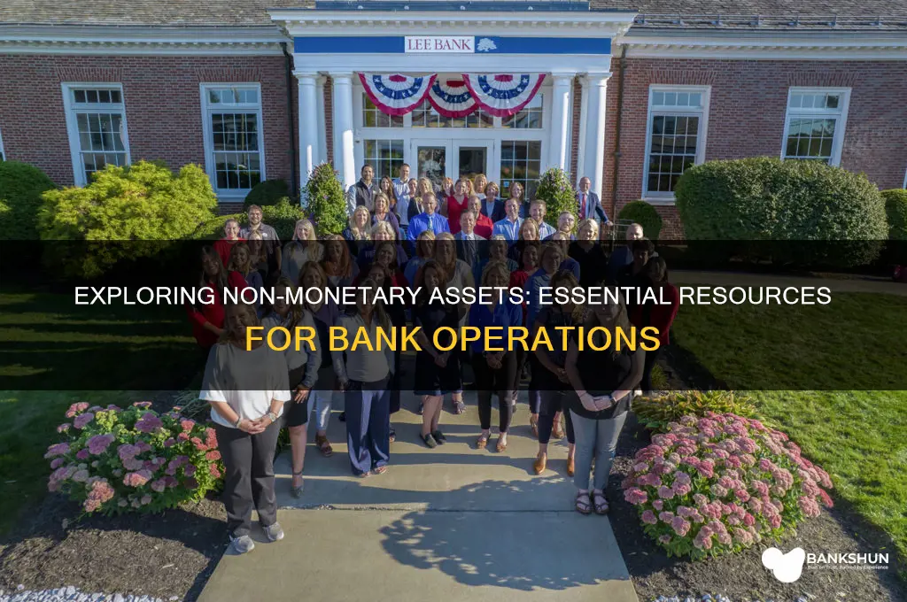 what are non monetary resources of bank