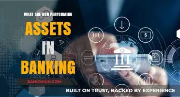Understanding Non-Performing Assets: Impact on Banking and Financial Health