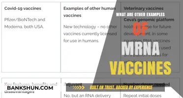 Exploring mRNA Vaccines: Beyond COVID-19, Other Notable Examples