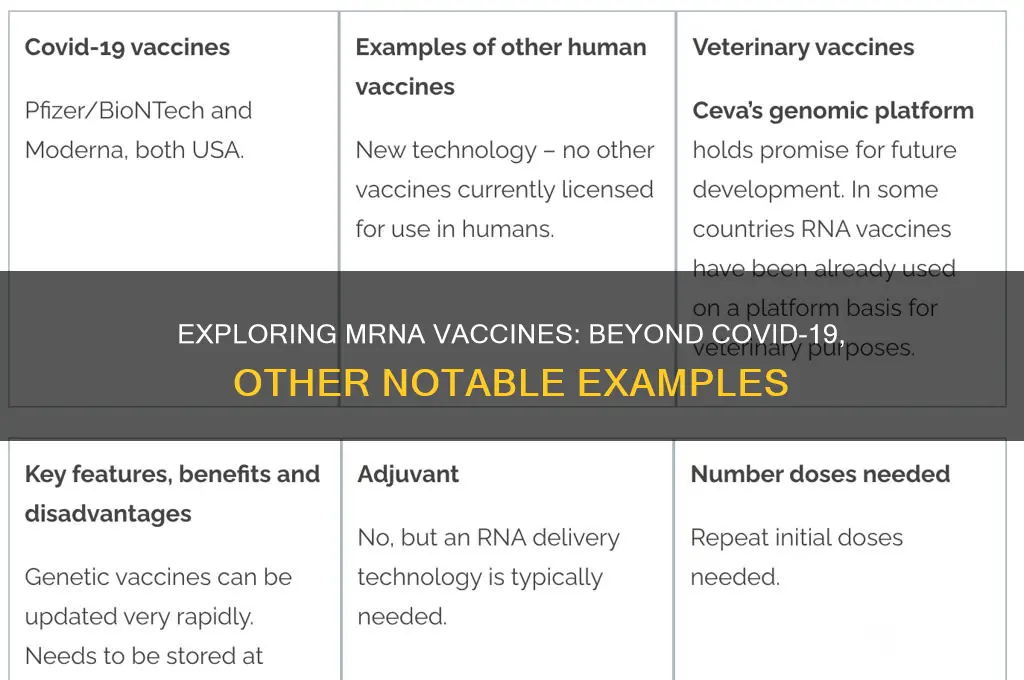 what are other examples of mrna vaccines