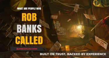 Bank Robbers: Unveiling the Infamous Criminals Behind Heists
