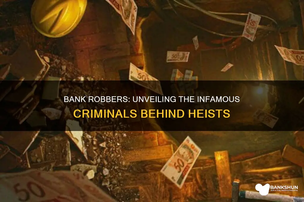 what are people who rob banks called