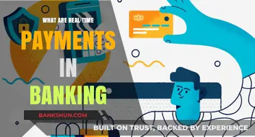 Understanding Real-Time Payments: Revolutionizing Banking Transactions Instantly
