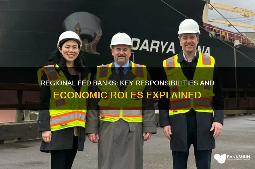 what are regional fed banks responsible for