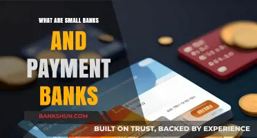 Understanding Small Banks and Payment Banks: Roles, Differences, and Benefits