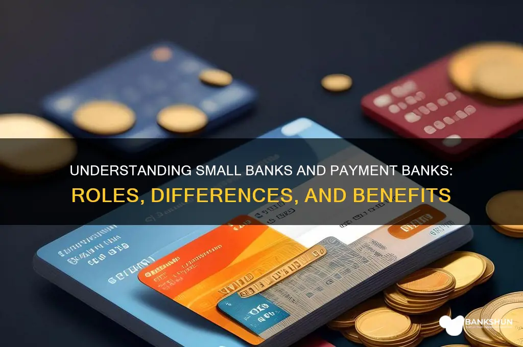 what are small banks and payment banks