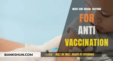 Understanding Social Factors Fueling the Anti-Vaccination Movement Today