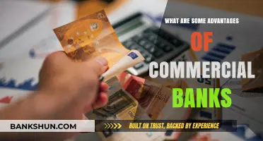 Exploring the Key Advantages of Commercial Banks for Businesses