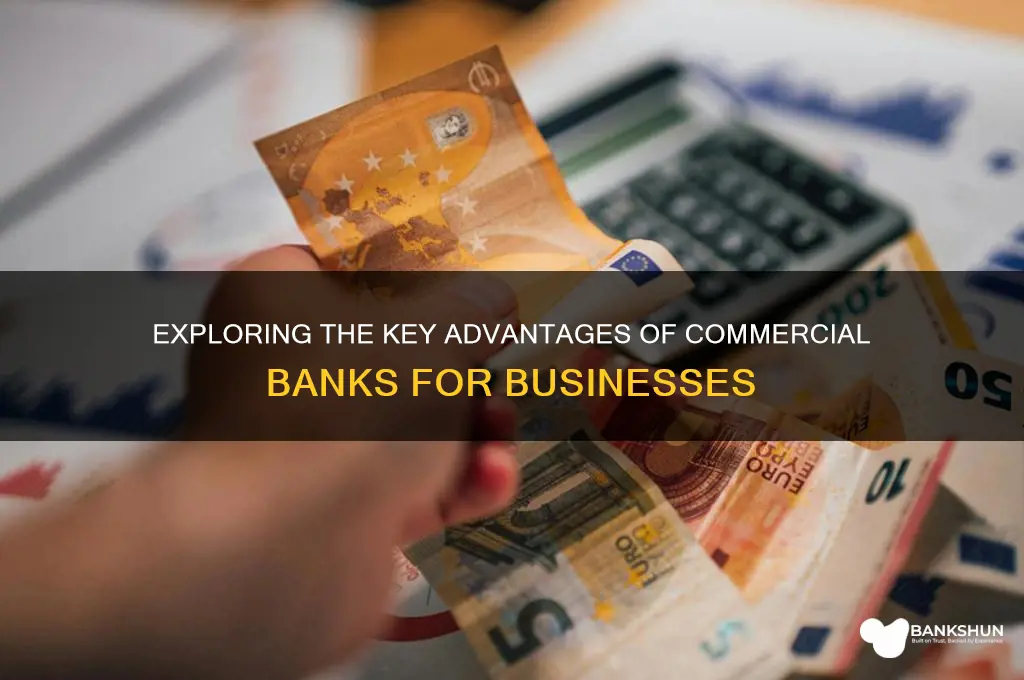 what are some advantages of commercial banks