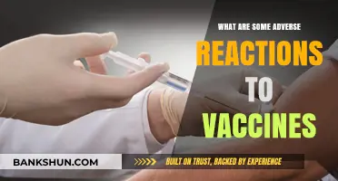 Understanding Potential Adverse Reactions to Vaccines: Risks, Symptoms, and Management