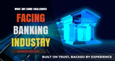 Navigating the Banking Industry's Top Challenges in a Digital Era