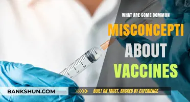Debunking Myths: Common Misconceptions About Vaccines Explained
