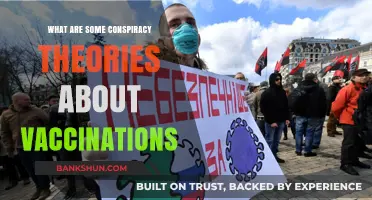 Unveiling Controversial Beliefs: Exploring Conspiracy Theories Surrounding Vaccinations