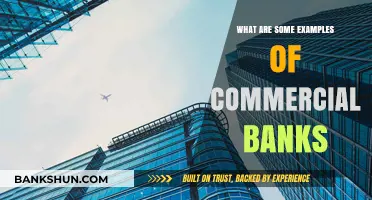 Exploring Key Examples of Commercial Banks and Their Services