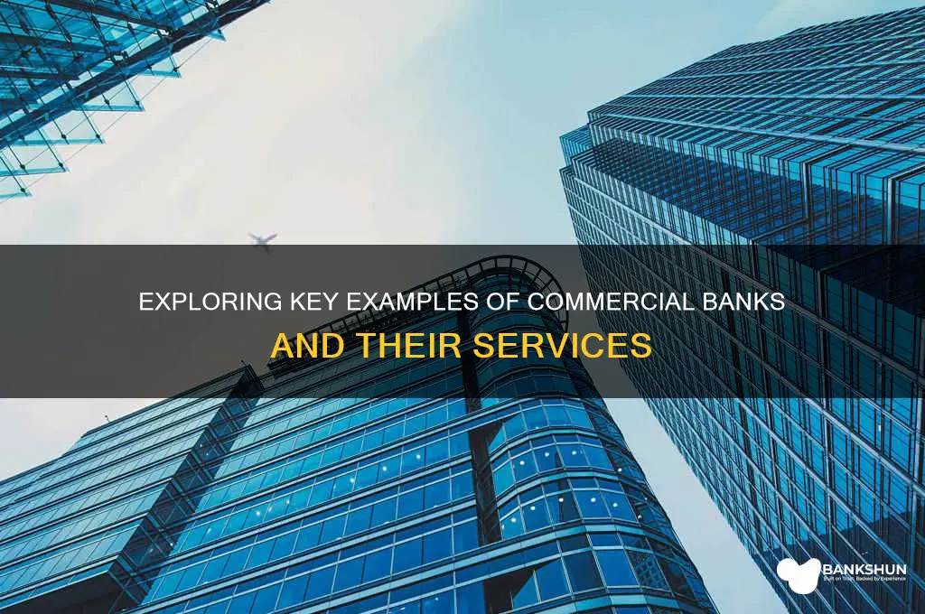 what are some examples of commercial banks