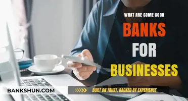 Top Business Banking Options: Finding the Perfect Financial Partner