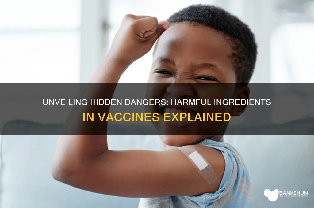 what are some harmful ingredients in vaccines