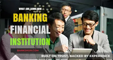 Exploring Non-Banking Financial Institutions: Key Roles and Types