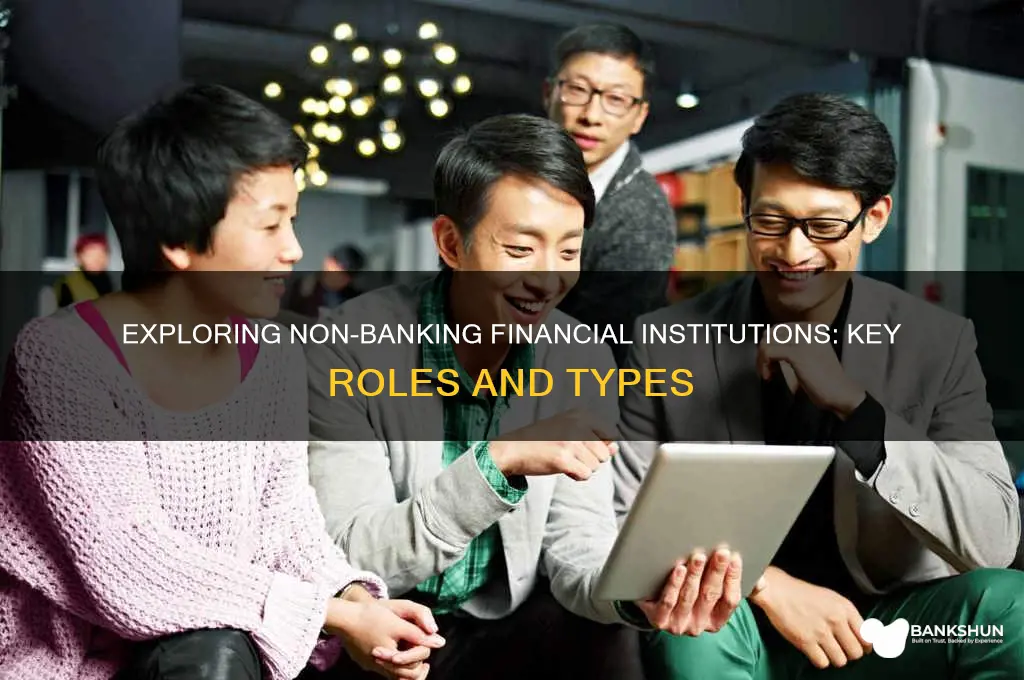 what are some non banking financial institution