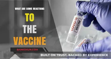 Exploring Public Reactions to the COVID-19 Vaccine: Concerns, Myths, and Facts