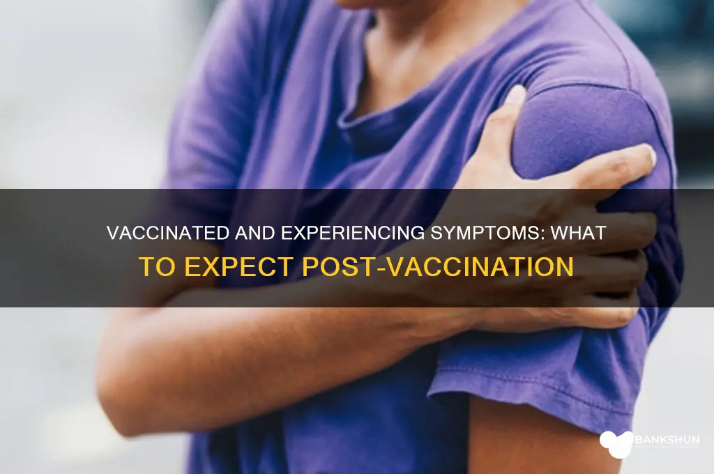 what are symptoms like for vaccinated person