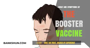 Understanding Booster Vaccine Symptoms: What to Expect After Your Shot