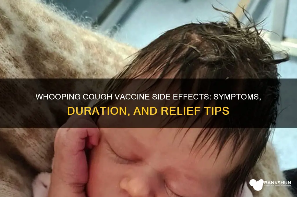 what are symptoms of whooping cough vaccine