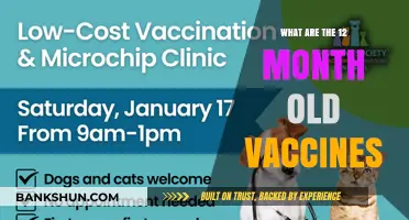 Essential Vaccines for Your 12-Month-Old Baby: A Parent's Guide