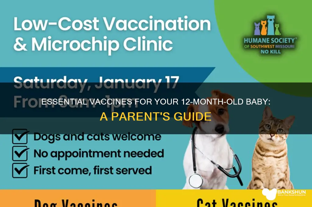 what are the 12 month old vaccines