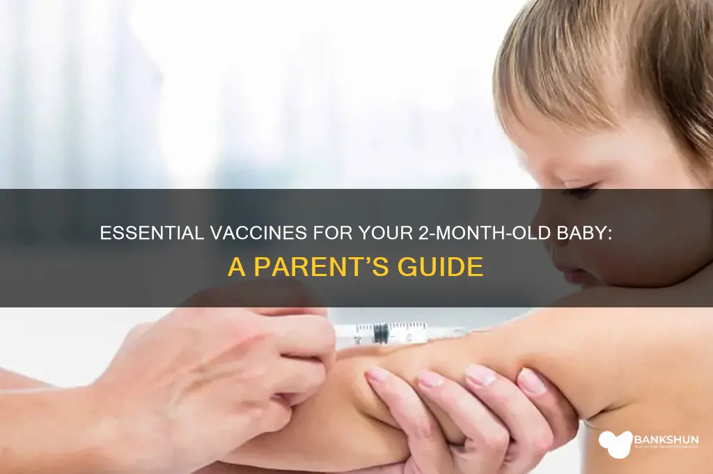 what are the 2 month old vaccines