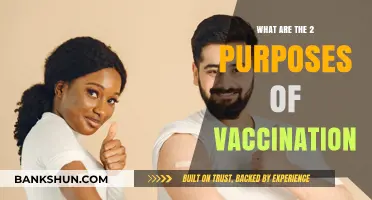 Understanding Vaccination: Protecting Individuals and Communities Through Immunization