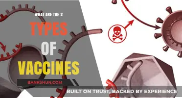 Understanding the Two Primary Types of Vaccines and Their Uses