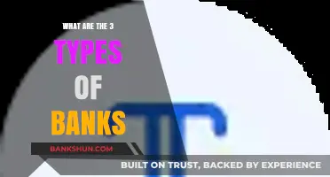 Understanding the Three Primary Types of Banks and Their Roles