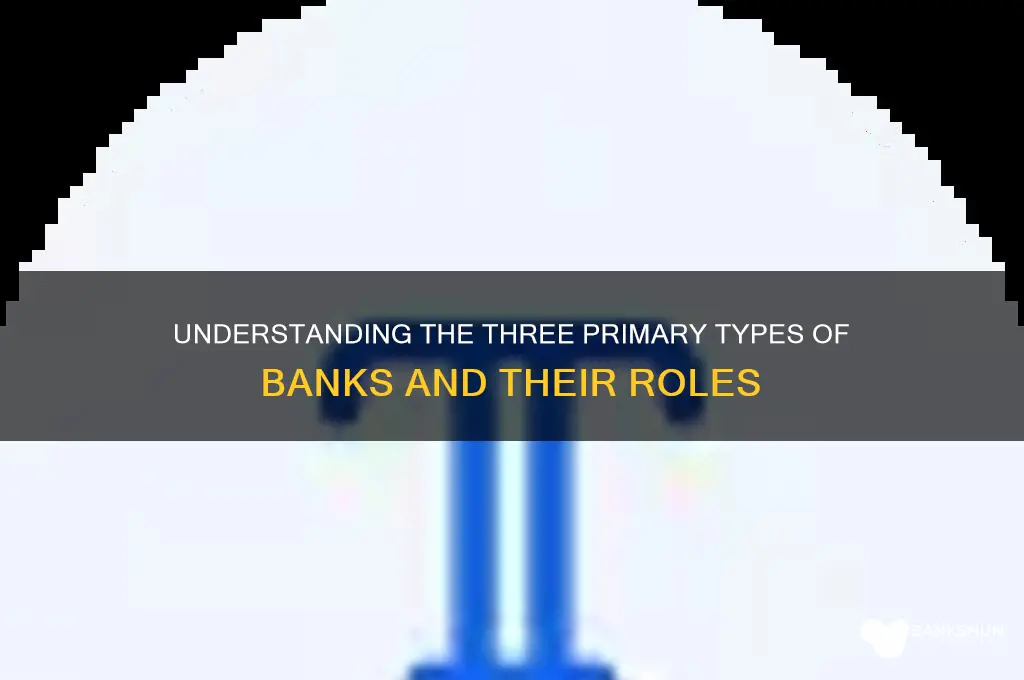 what are the 3 types of banks