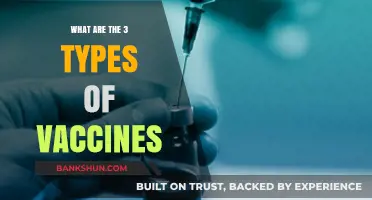 Understanding the Three Primary Types of Vaccines and Their Uses