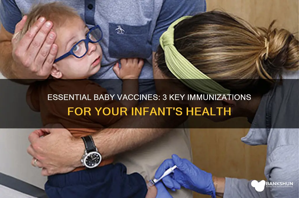 what are the 3 vaccines for babies