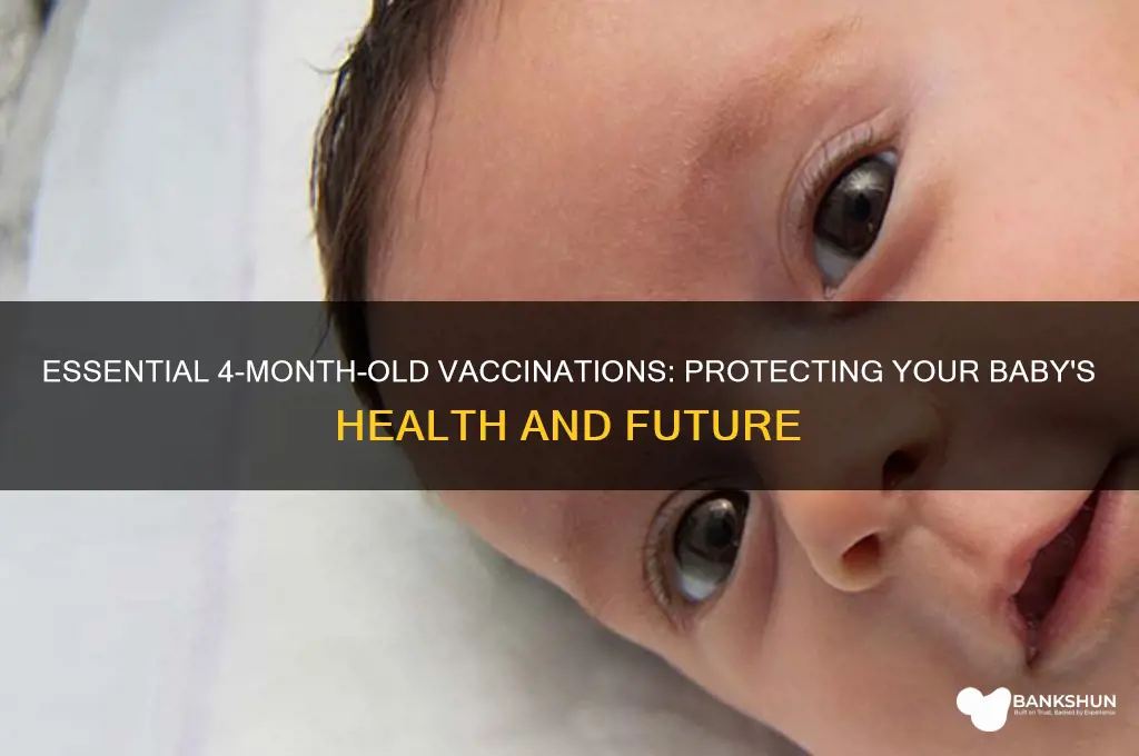 what are the 4 month old vaccinations