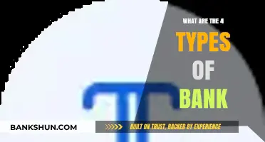 Exploring the Four Main Types of Banks and Their Functions