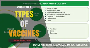 Understanding the Four Primary Types of Vaccines and Their Uses
