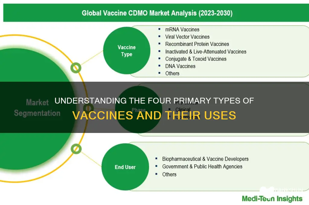 what are the 4 types of vaccines